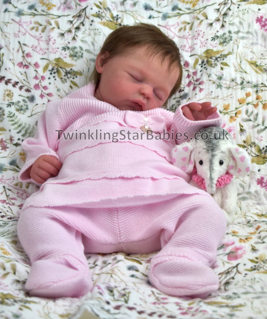 Sierra reborned by Twinkling Star Babies