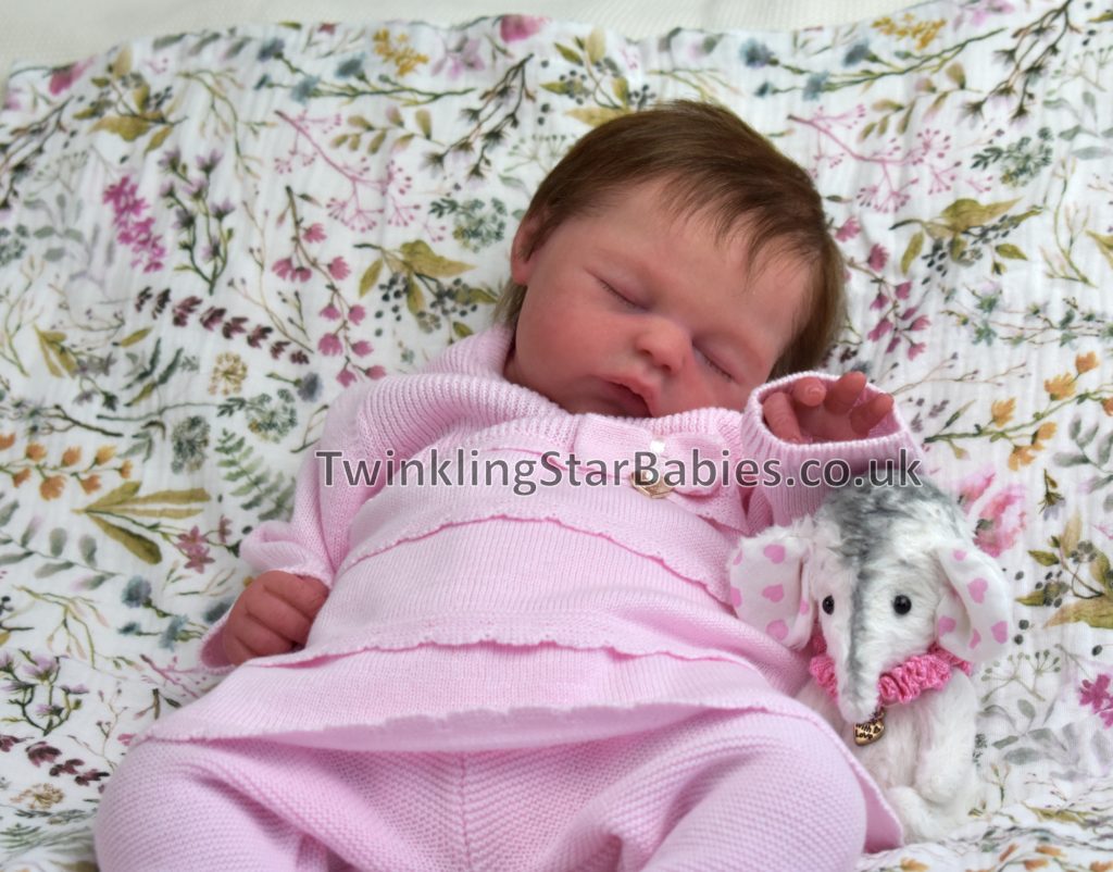 Sierra reborned by Twinkling Star Babies