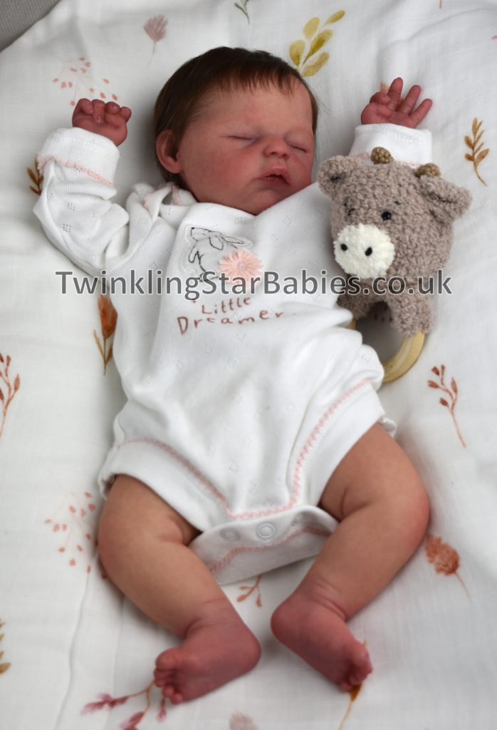 Sierra reborned by Twinkling Star Babies