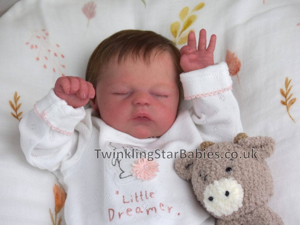 Sierra reborned by Twinkling Star Babies