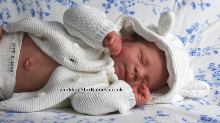Pascale reborned by Twinkling Star Babies